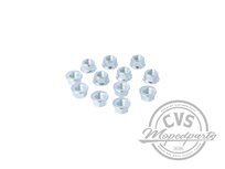 Mutter + Flansch M10x1 12St.