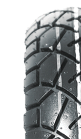 Spike Tubeless 300-10