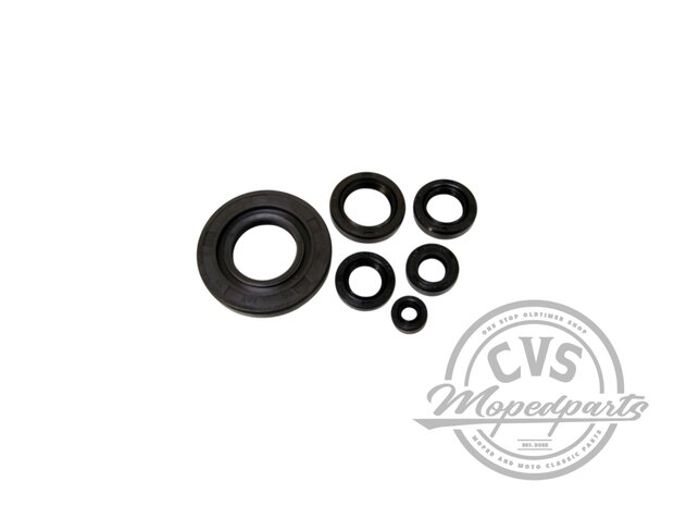 &Ouml;ldichtungssatz 80cc passend f&uuml;r MT-MB-MTX